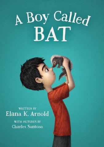 A Boy Called BAT book cover