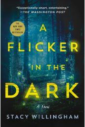 A Flicker in the Dark by Stacy Willingham