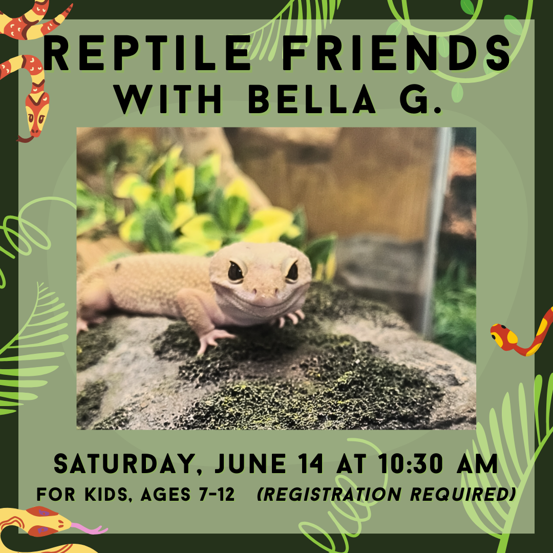 Image of skink with Reptile Friends with Bella G program